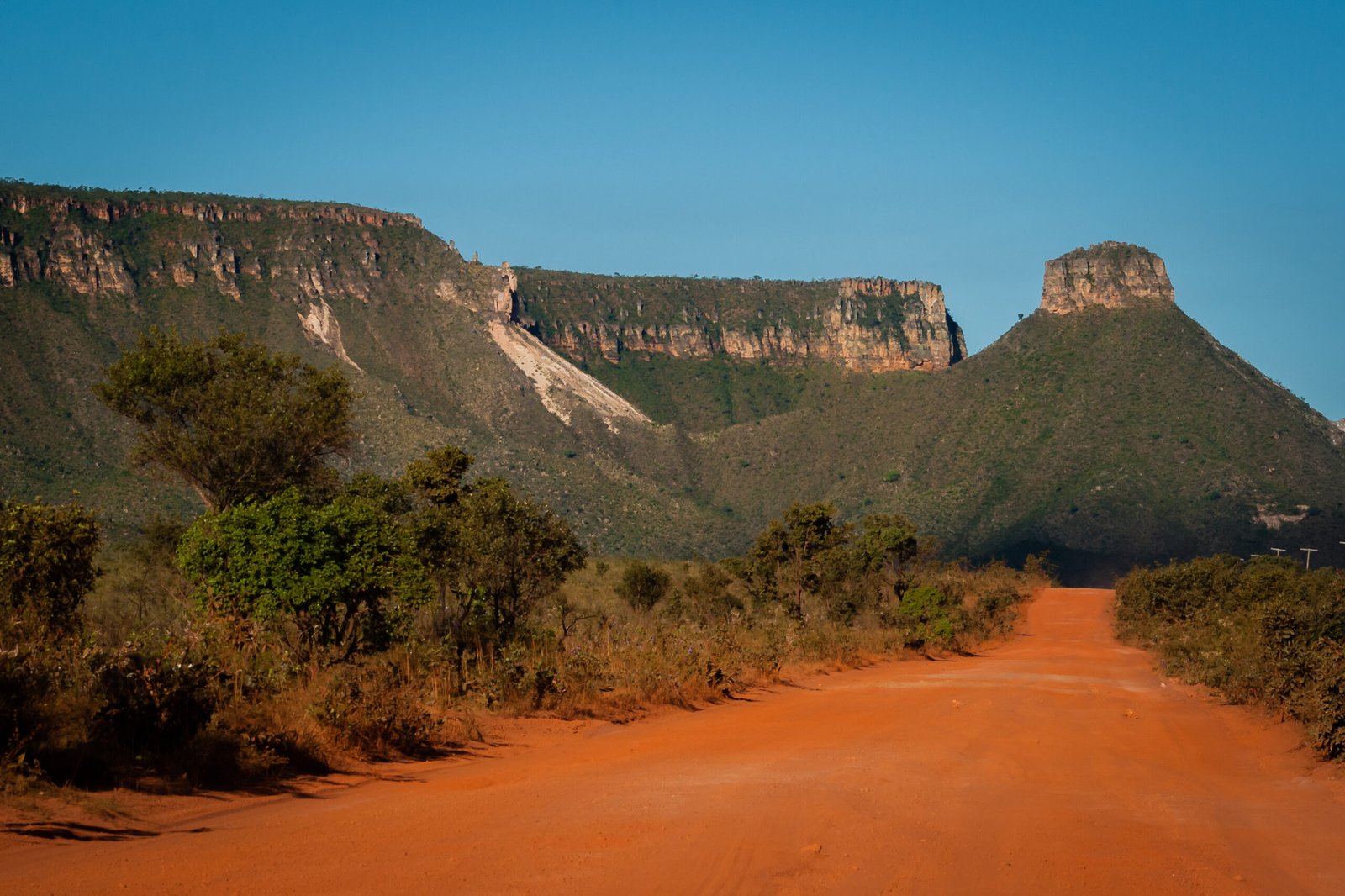 Cerrado Brasileiro